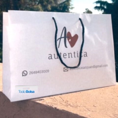 Bolsa de papel kraft blanco premium