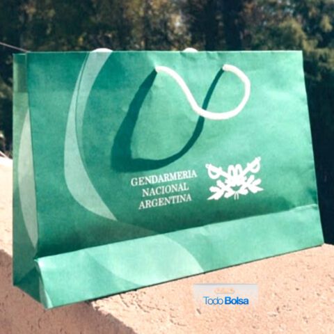 Bolsa de papel kraft fondeado premium