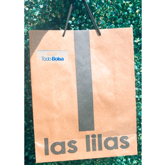 Bolsa de papel kraft marrón premium